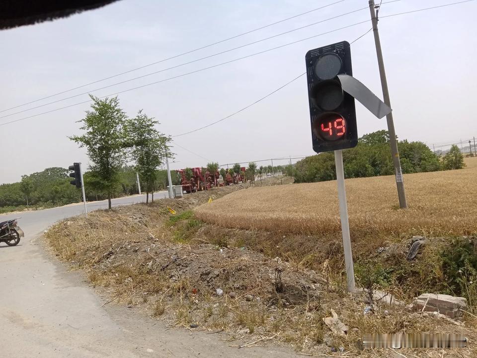 邓州小麦开割了，虽然天气干旱，但收成还不错，浇过水的亩产达到一千多斤。
周日下午