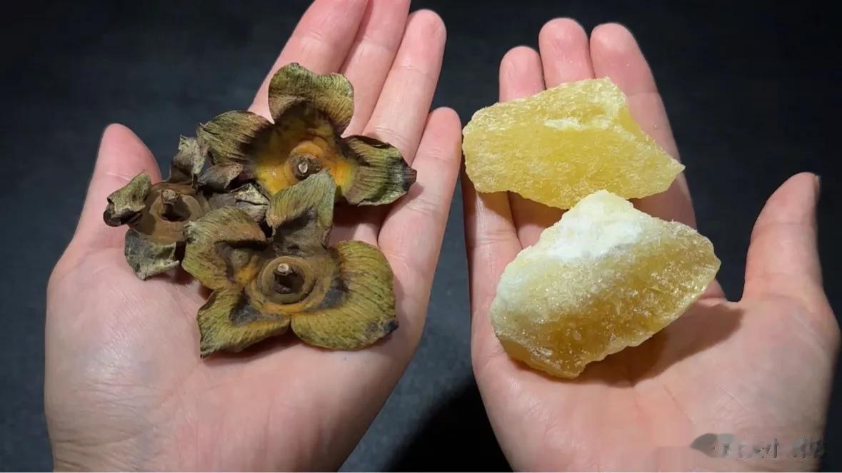 柿子蒂和冰糖一起煮水，作用太厉害了，就服老一辈土方法，快试试
这期视频分享了柿子