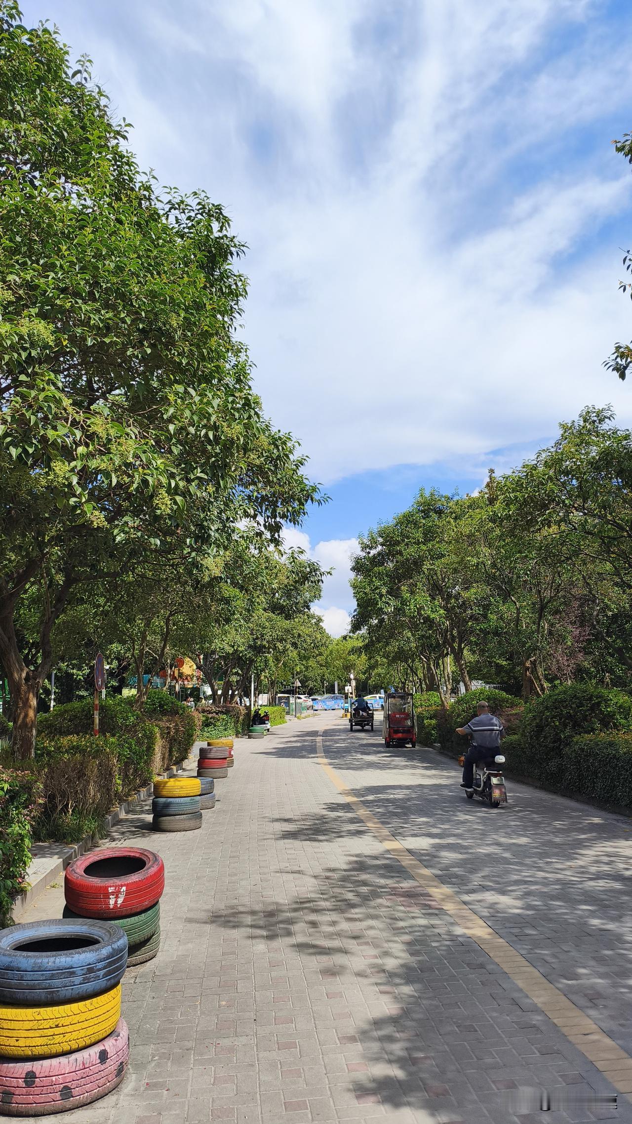 南京这阵子的最高气温直接从之前32℃+的闷热状态，稳稳压在26℃上下，走在路上连