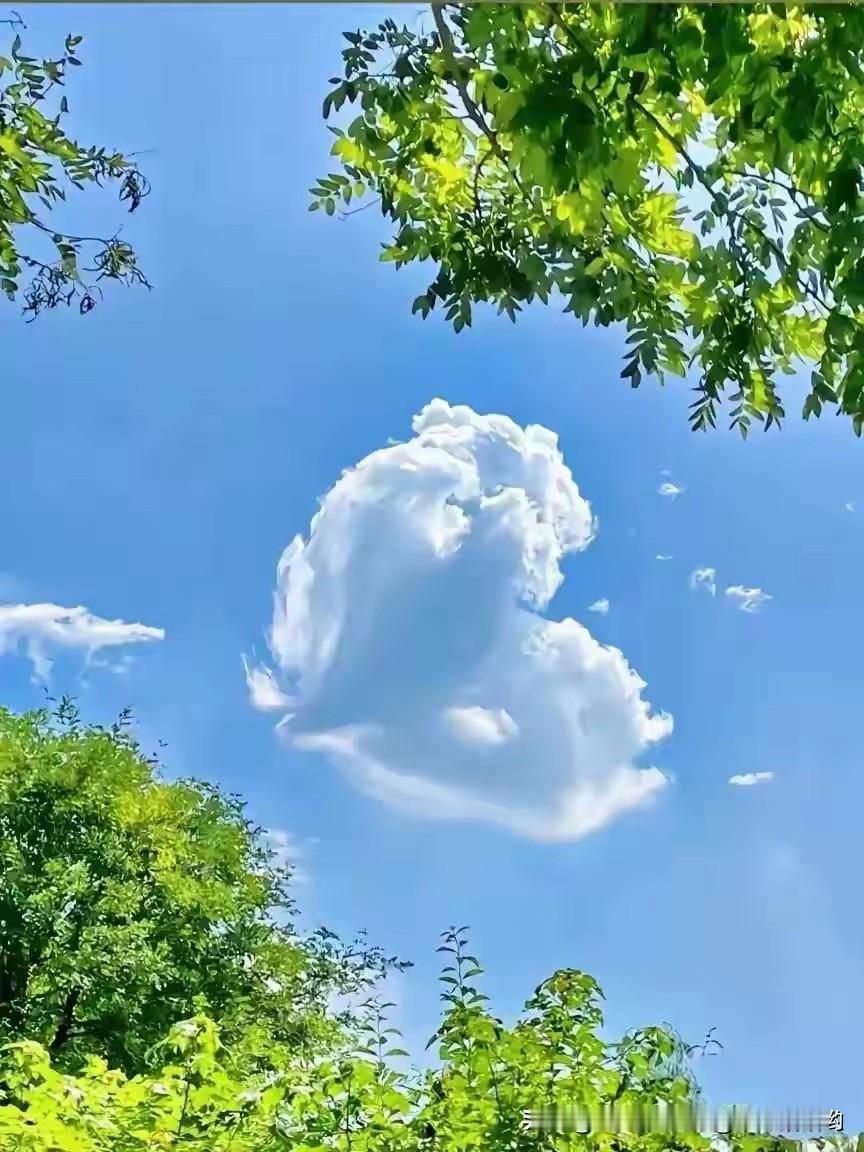 与自己和解真的太重要了！在快节奏的现代社会，我们最大的消耗往往来自内心的自我战争