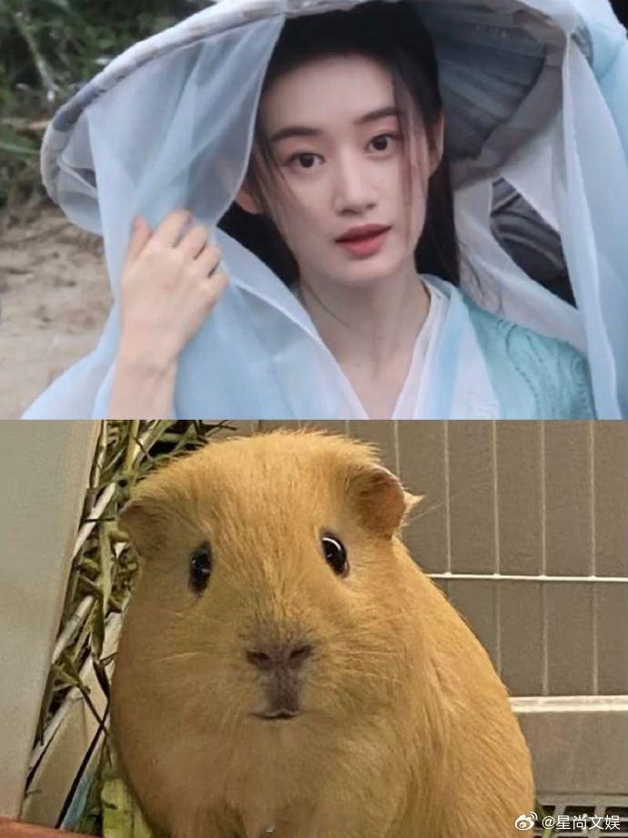 郭晓婷 横店豚眼 从 “横店豚眼” 事件中领略郭晓婷的俏皮可爱。 