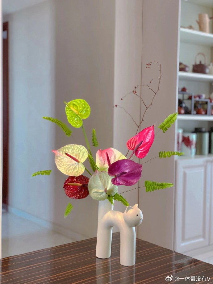 春暖花开在这个忙碌的世界里，给自己留一点时间，欣赏一下这美丽的花朵，让心灵得到片