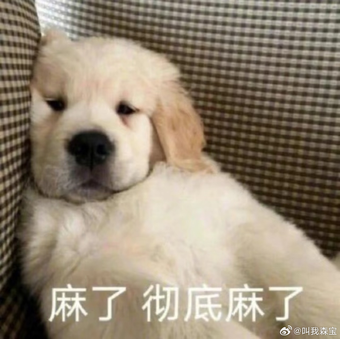 哪个App偷听最严重你们觉得哪个App偷听最严重，个人觉得短视频平台吧！就好比我