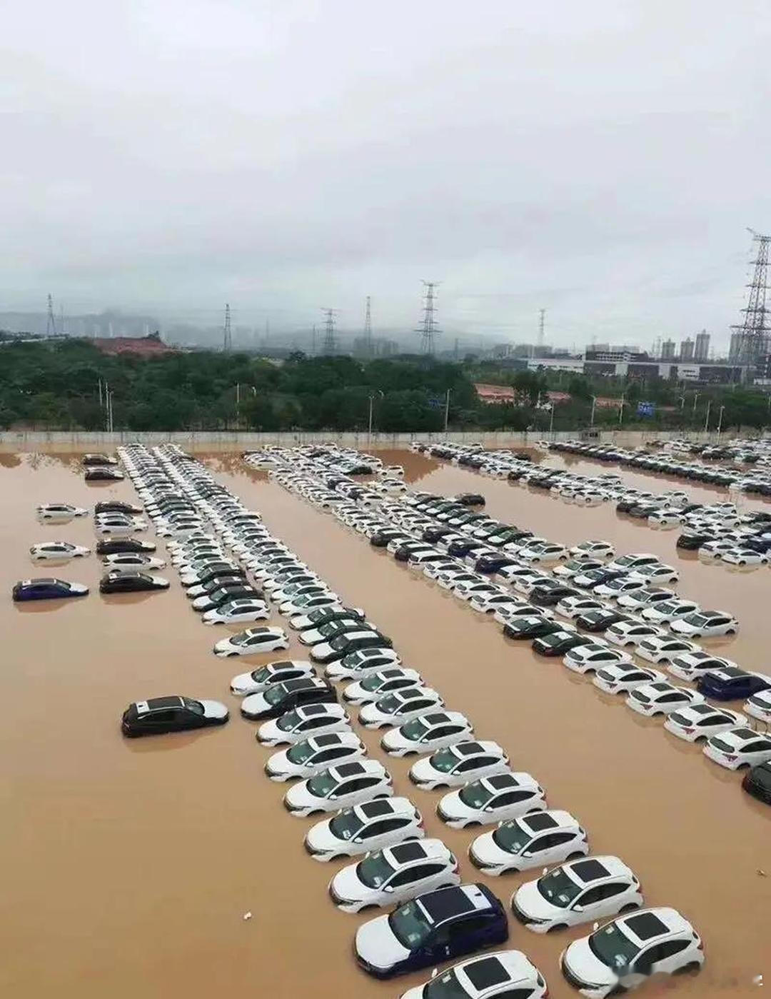 为什么泡水车碰不得泡水车最大的三个坑就是车内异味难消除，线束泡水容易短路，维修比