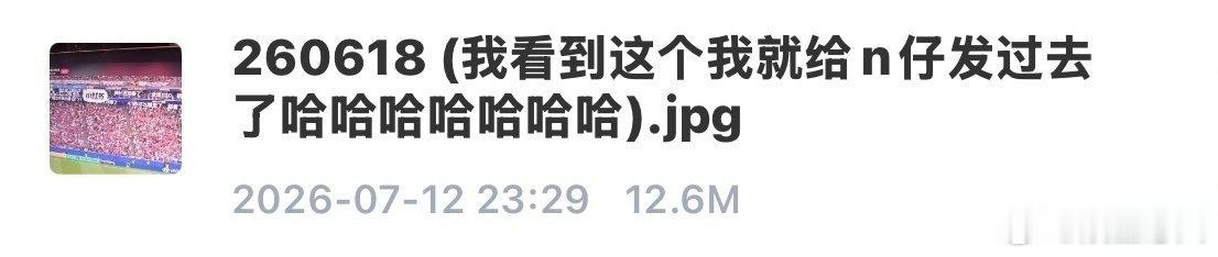 苏新皓在世界杯弹幕看到穆祉丞了 苏新皓在最新更新的个人网盘里，记录了自己看世界杯