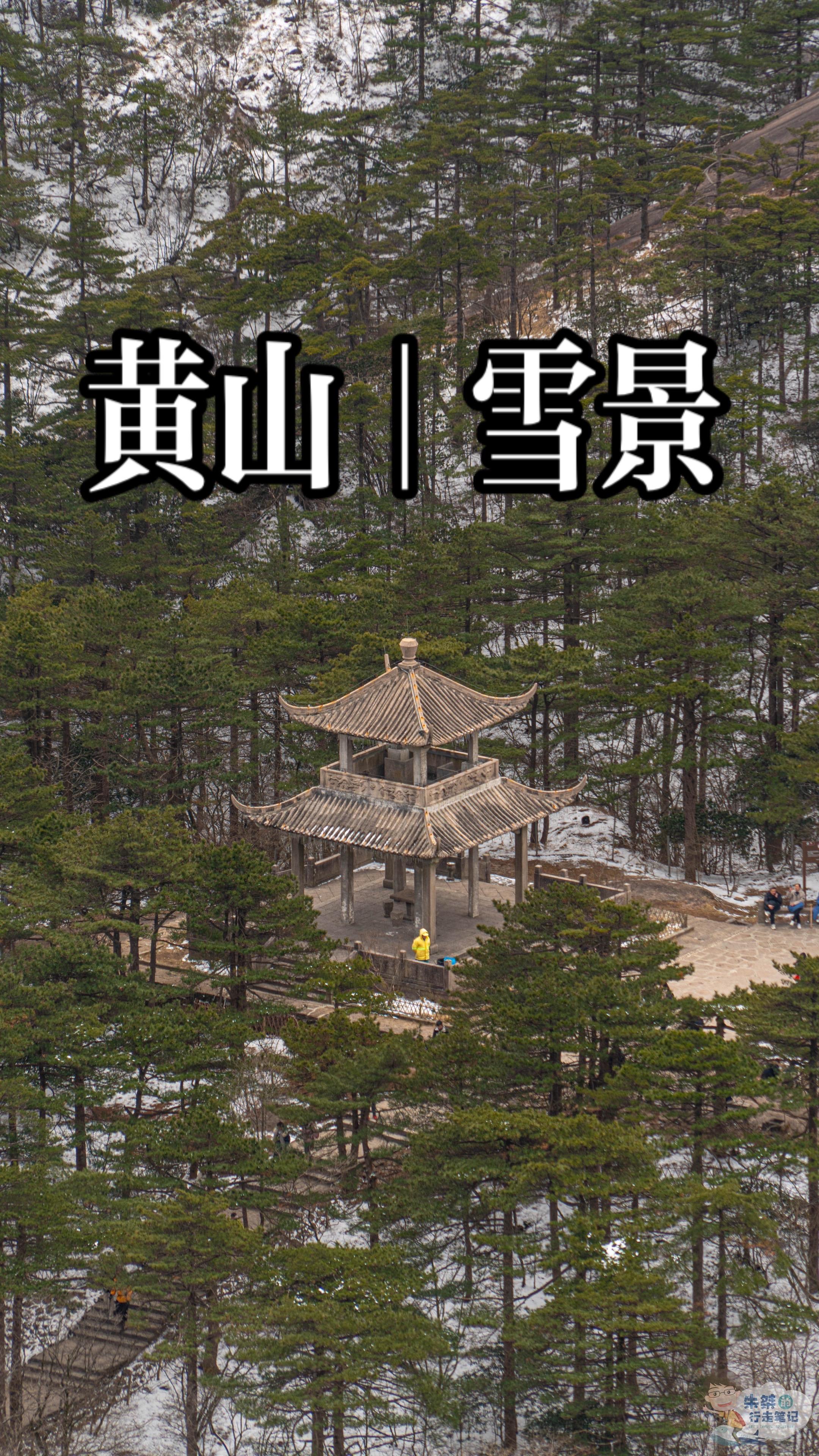 在黄山补上了2025年第一场雪。2025年已到万物复苏的阳春三月 直到...