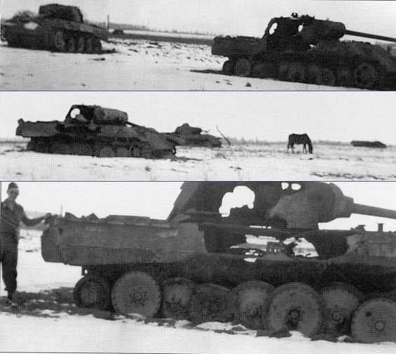 看到这张图，很多人第一反应就是：谁下手这么狠？其实从常识判断，像二战时期的Pan