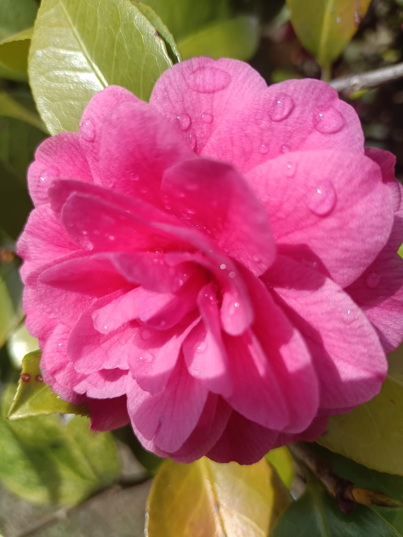 一个家最大的幸福是什么