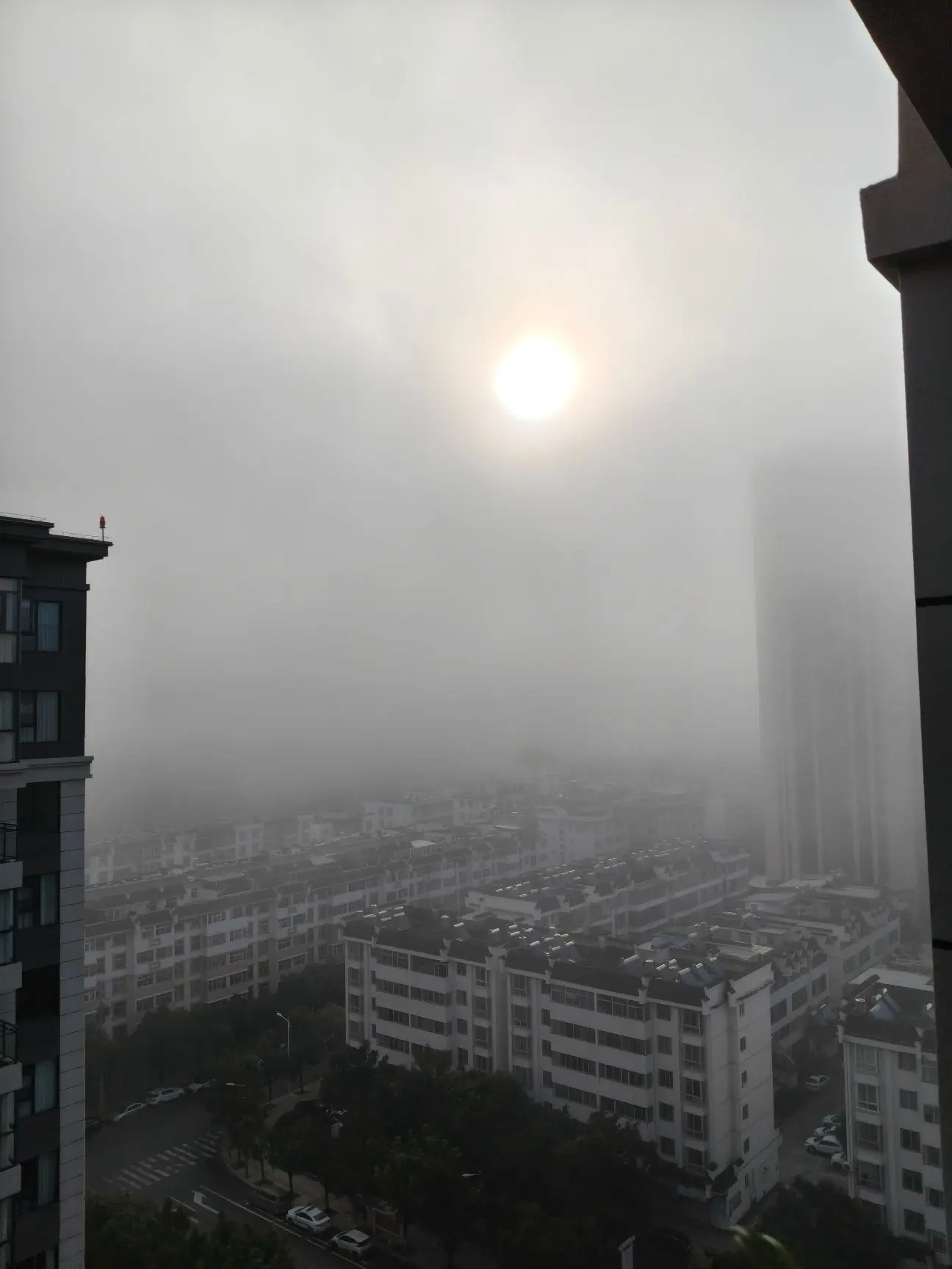我想成为上海那6%的人