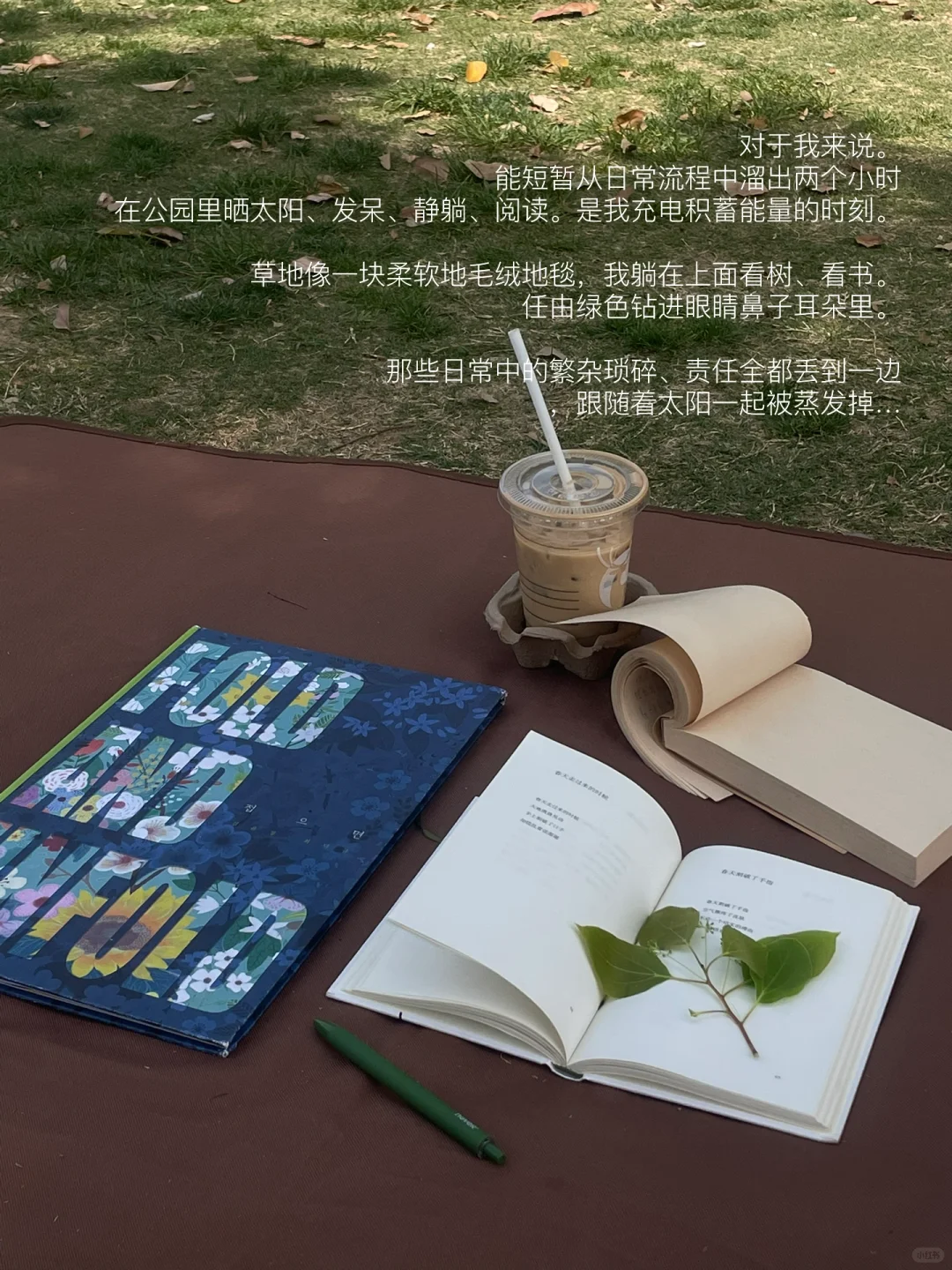 带上书和咖啡，从日常流程中逃离两个小时。