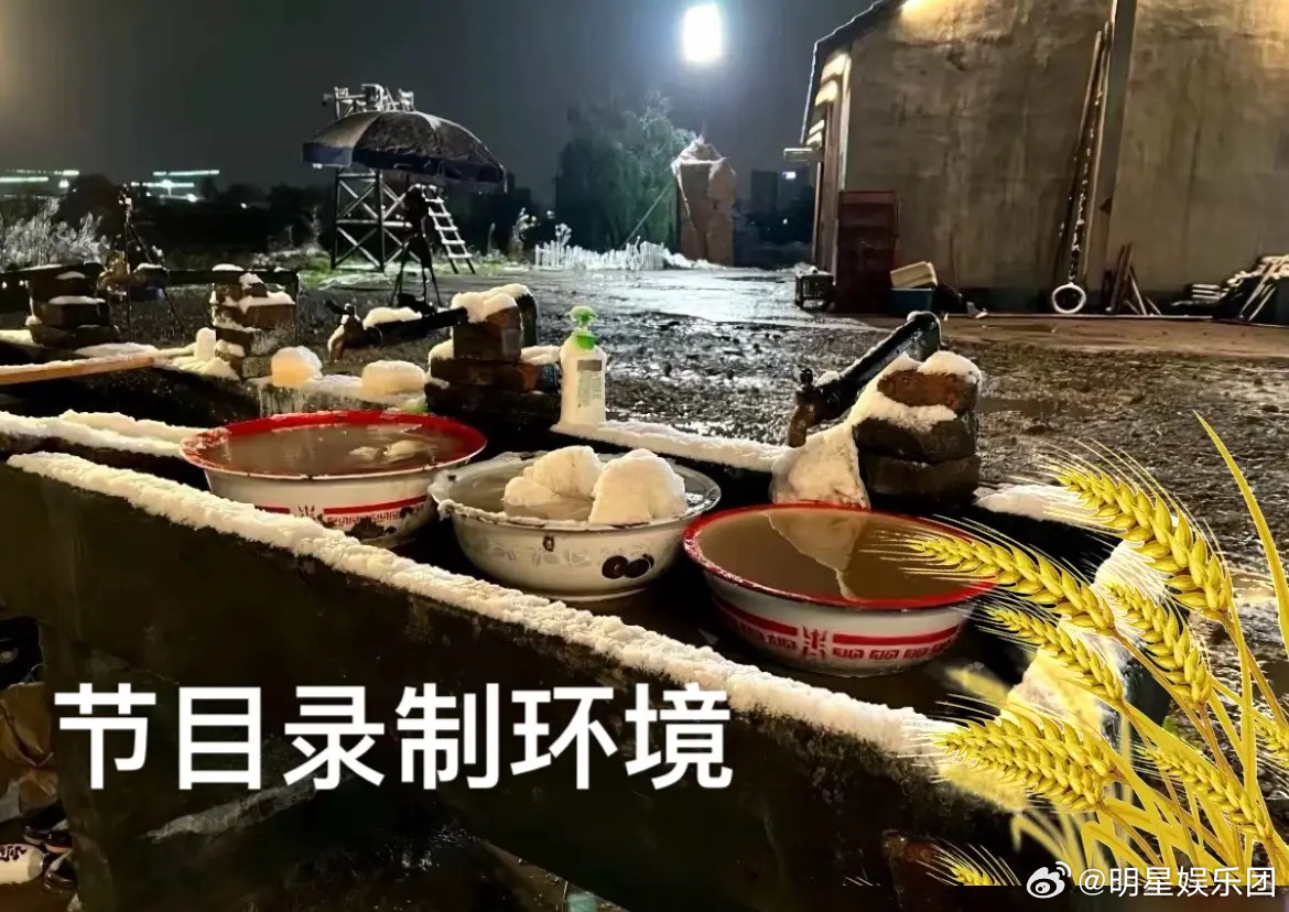 这片曾经的荒芜之地，如今迎来了十位新邻居。我们承诺，对每一次违规行为绝不姑息，确