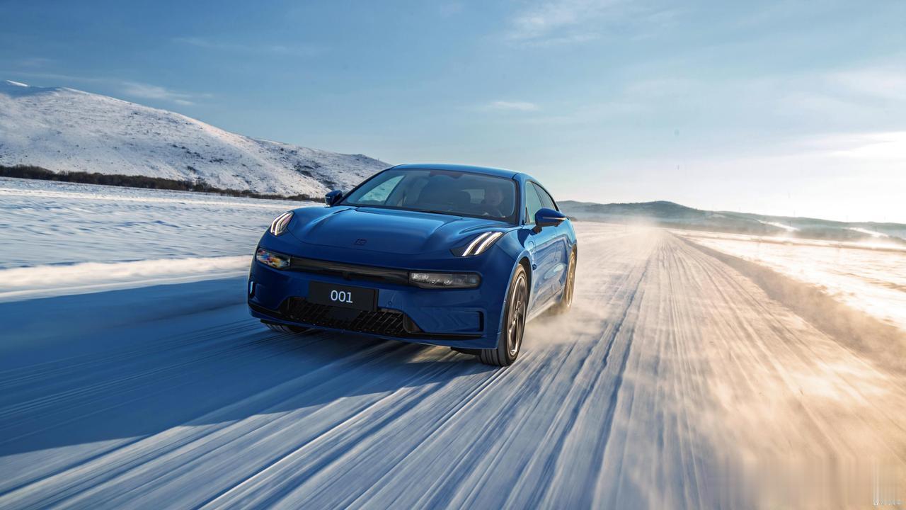  极氪001是一款备受关注的电动汽车，其上半年的销量表现不俗，达到了31305辆