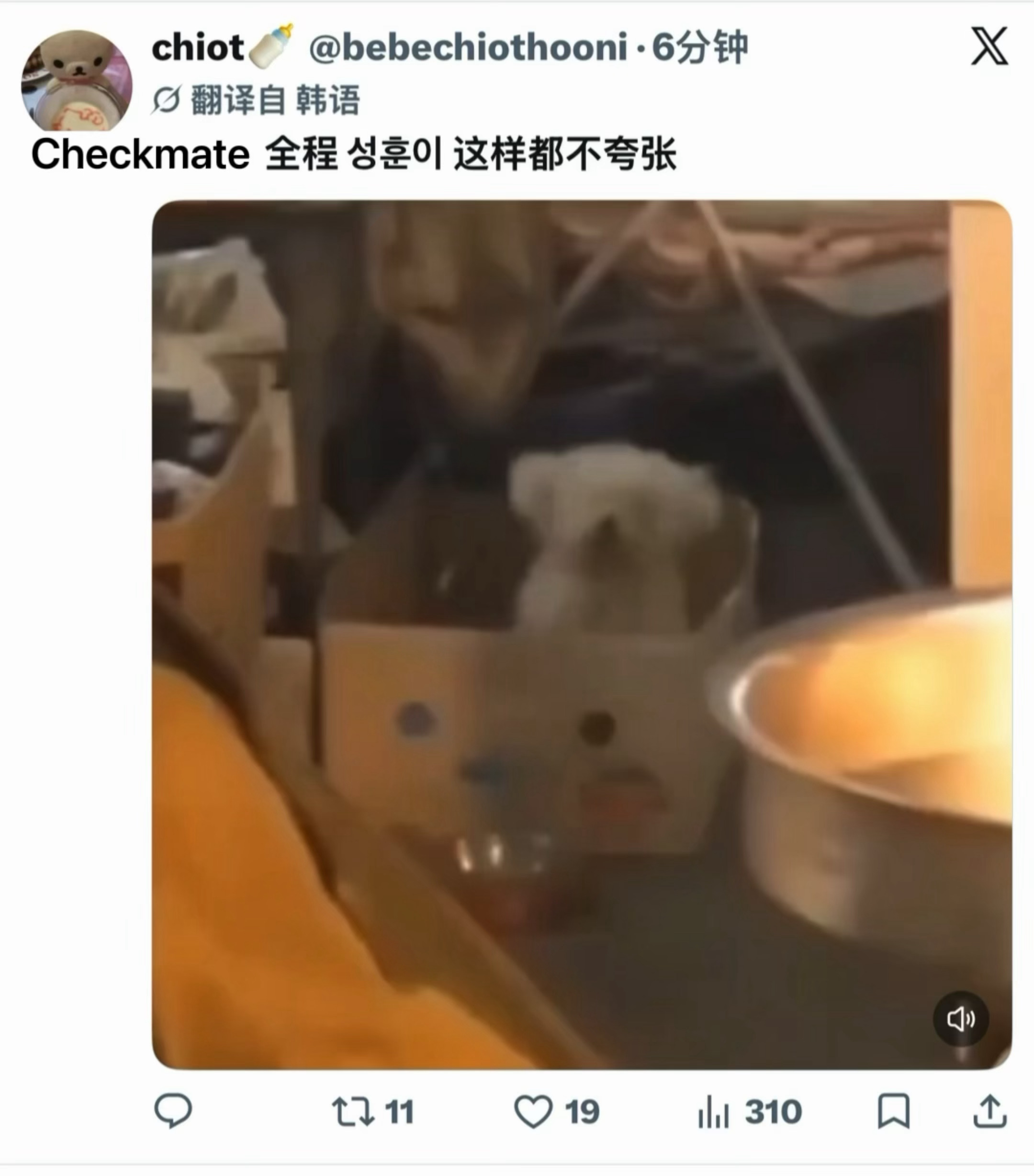 早已猜到全程蹦迪摇头小狗一枚 ​​​