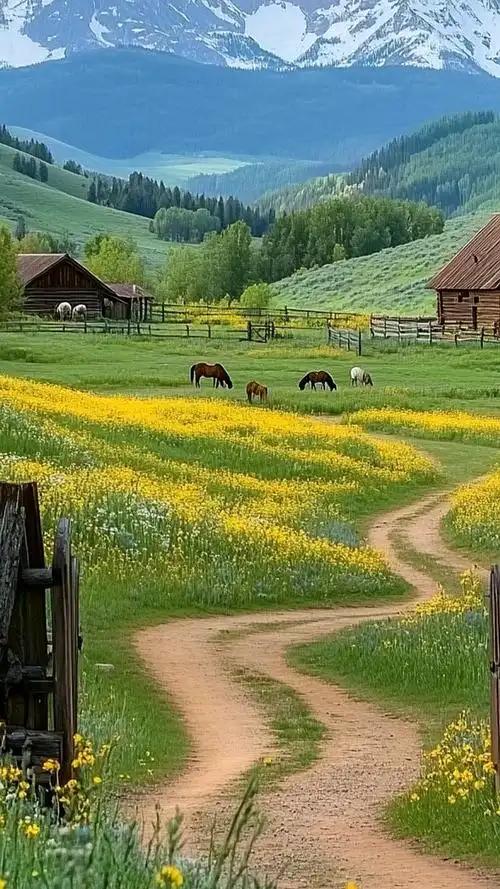 人生苦短，
别让遗憾和焦虑占据生活。
不必纠结过往，
无需忧惧未来，
珍惜眼前的