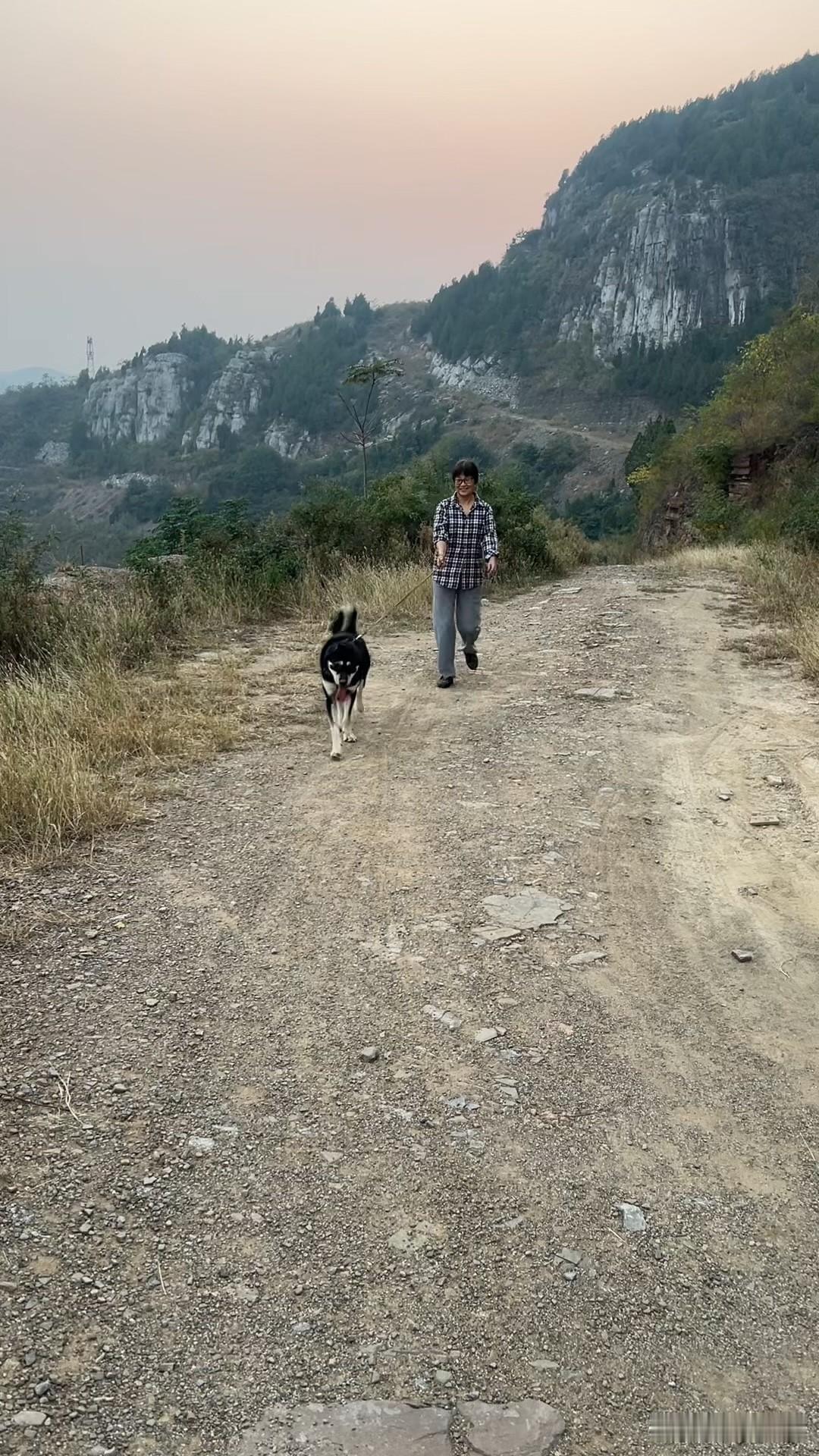 养一条土狗你愿意吗在这样的环境下养一条土狗，带着上山玩耍，是一种享受。