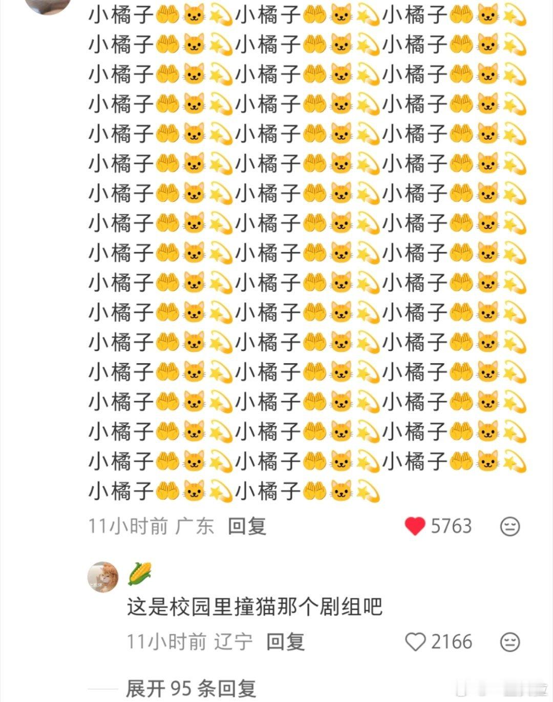 红舞鞋🍠评论区被冲了只能说活该