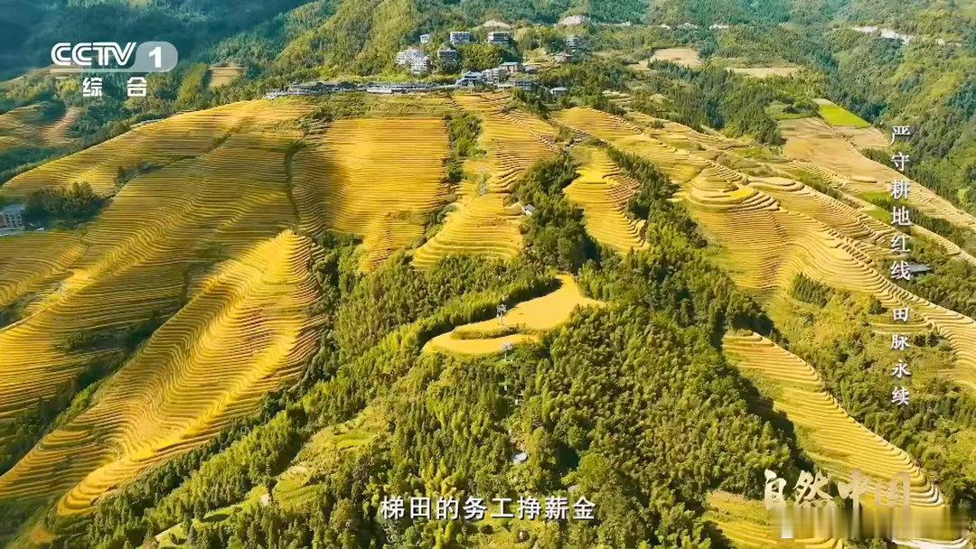 中国梯田美成油画 随手一拍都不用加滤镜，大自然和先民一起勾勒出的美景，满眼都是治