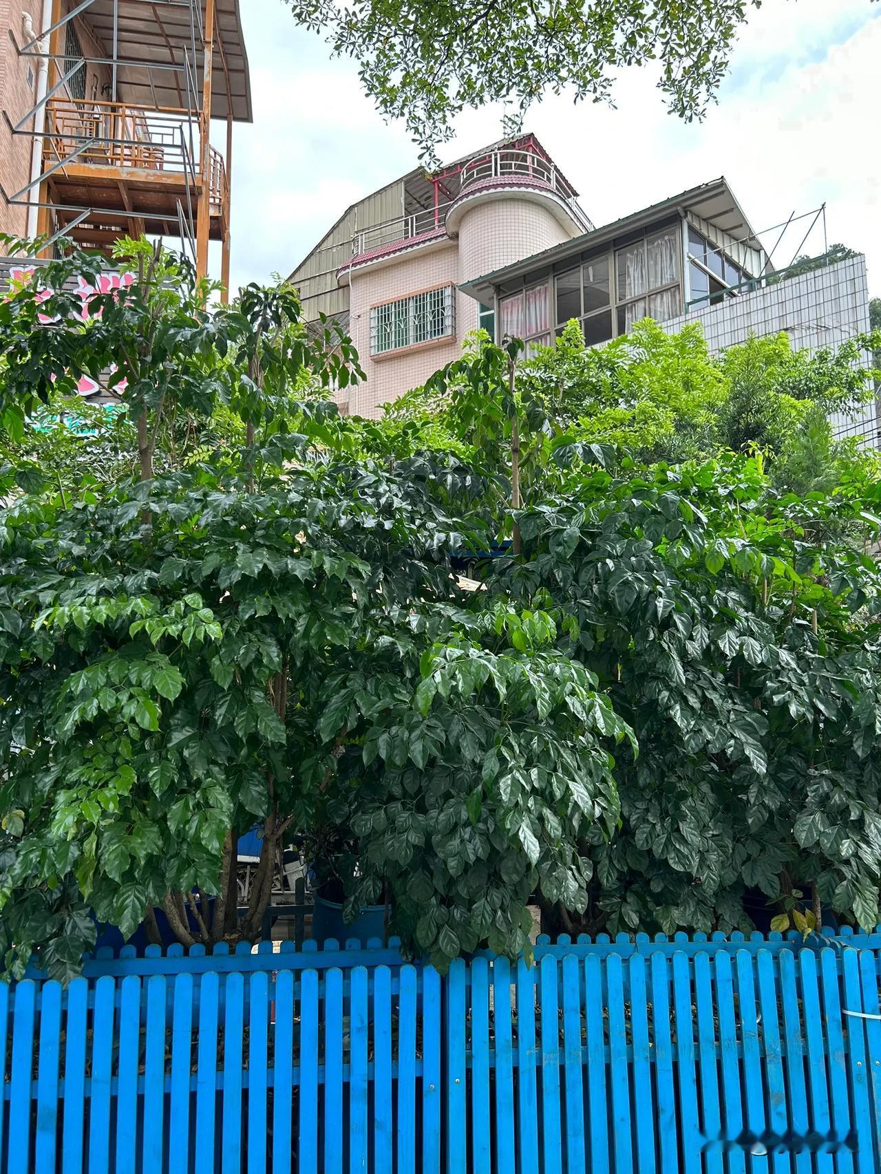 #上联：夏至蝉声闹#
上联：夏至蝉声闹，
下联：小暑天气热。