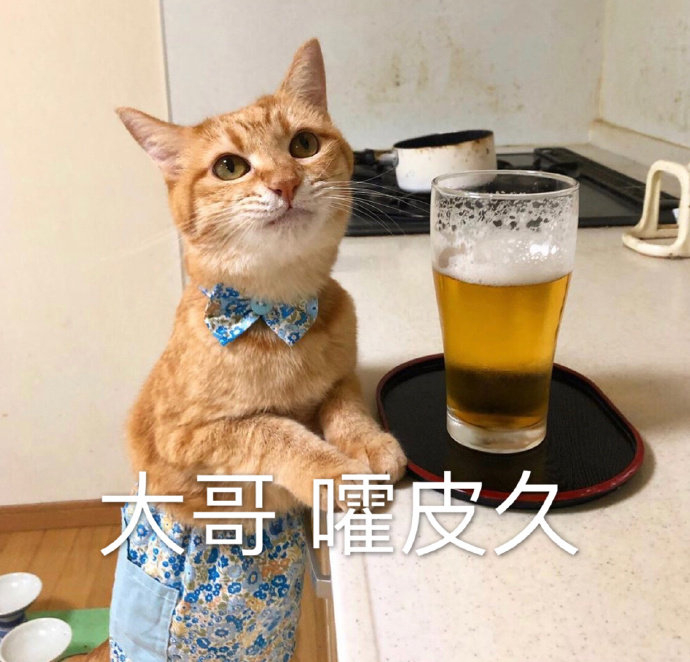 【麦界双雄的碳水博弈：凭什么它能做面包，而我就只能酿啤酒？】同样是麦，小麦成了面