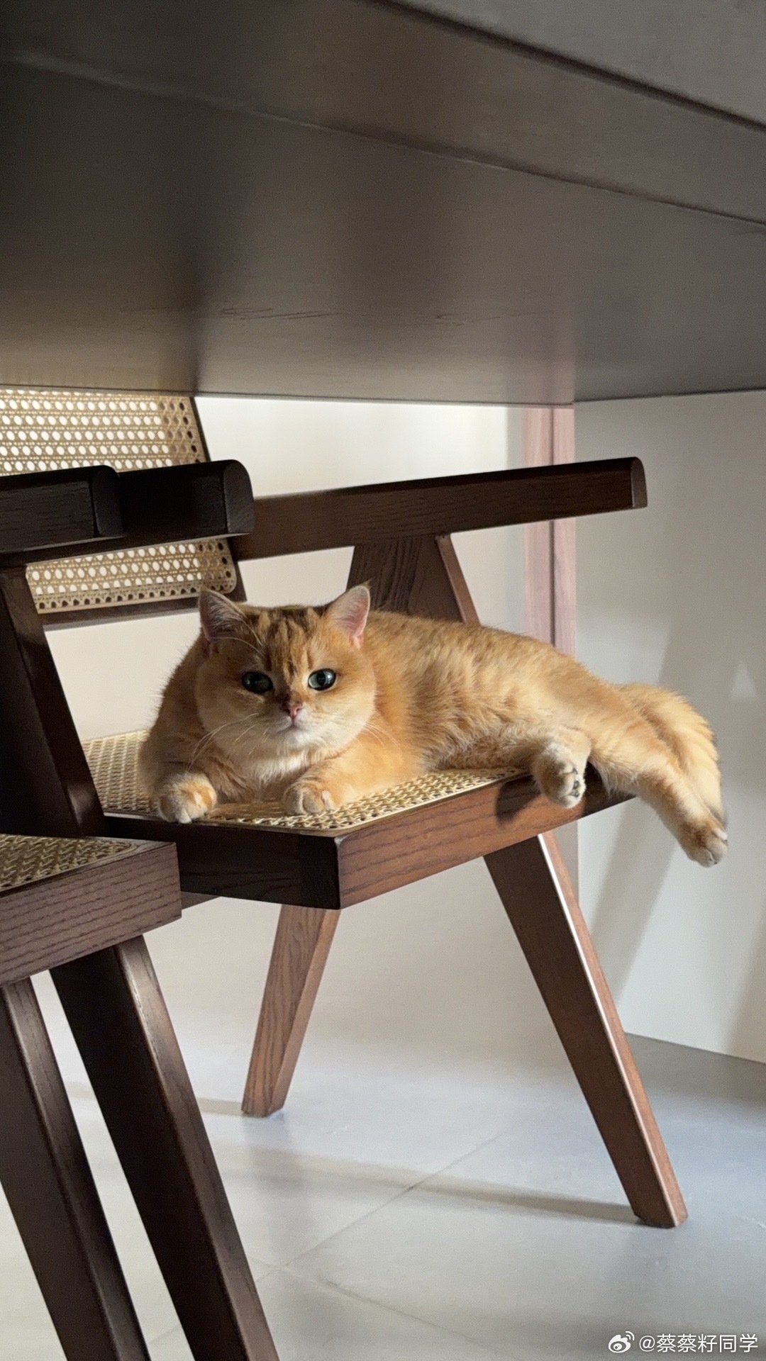 周末回血给身心小补能 咱也是学会炸鸡腿+做虾了