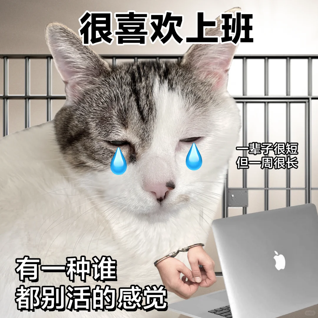 表情包 | 一些莫名其妙的精神状态表情包