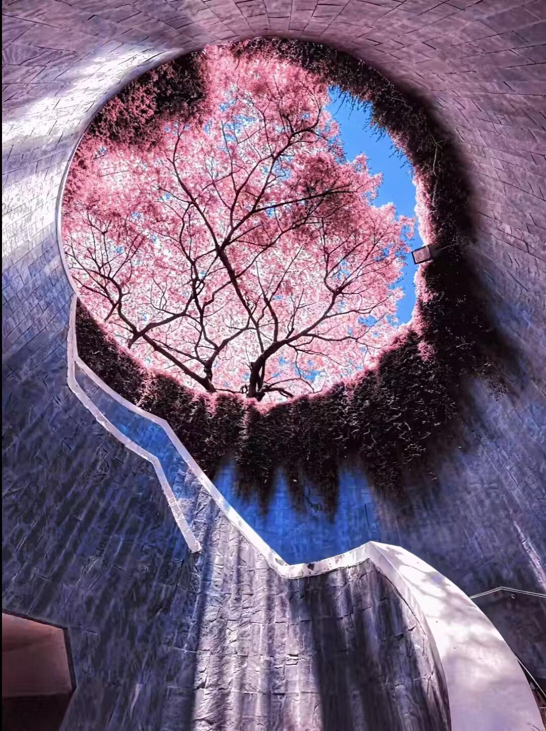 生活上一些人一些事，无论你千万个不愿意，都会慢慢的退出，包括记忆。给糖就笑的年纪
