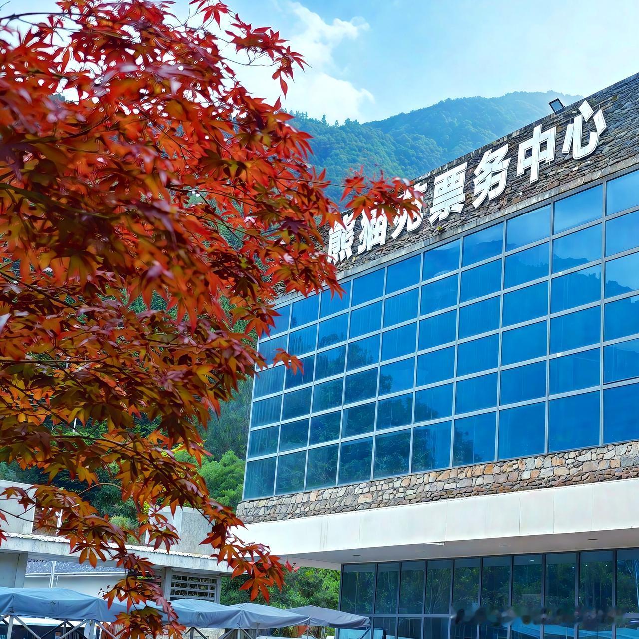 秋天，红叶与现代建筑相互映衬的画面，美得像诗。在北京喇叭沟门，9 月底 10 月