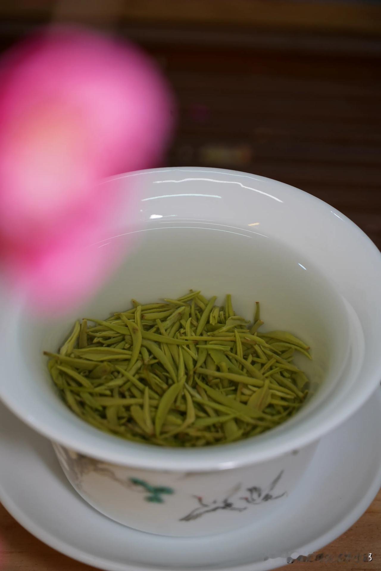 红梅伴红茶，香溢满室春。茶：慢慢品 信阳毛尖 春茶 春茶季