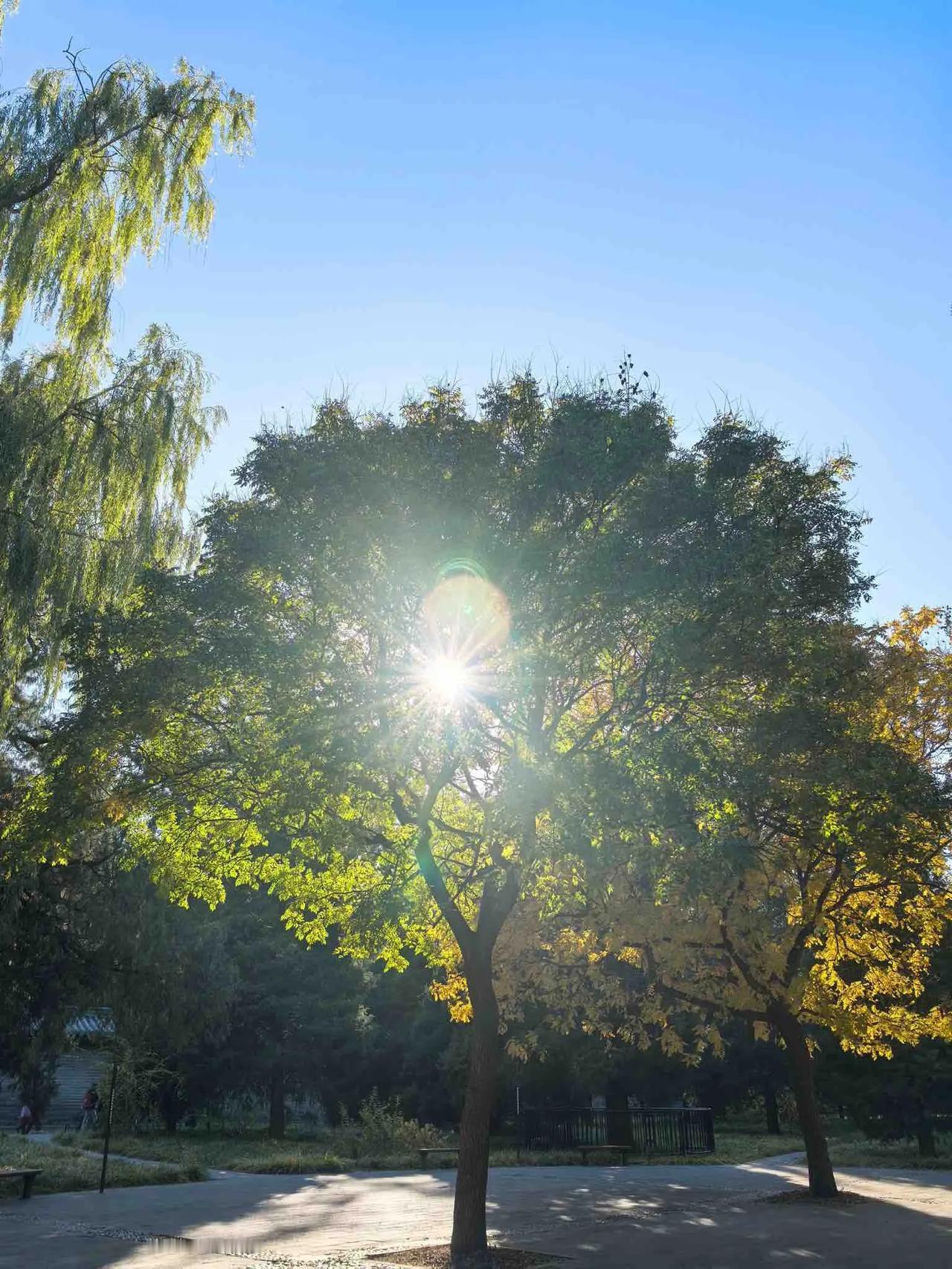 分享我这周有趣的事：军工股票应该会在后半年跟明年年初上涨📈。台积电股价也会因为
