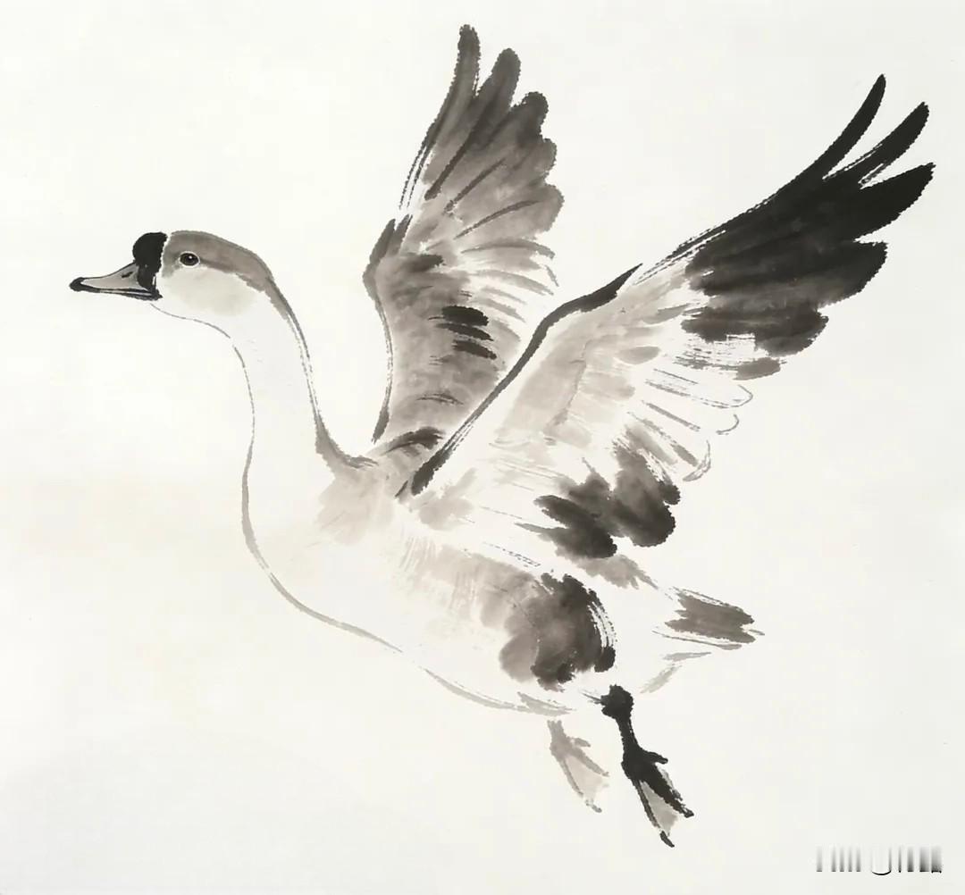 每当桃花初绽、江水初暖，那三两成群、在水中嬉戏的鸭子，便成了春天最灵动的使者。鸭