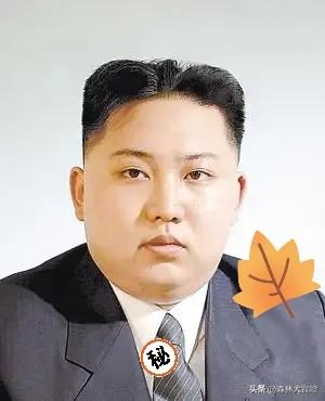 就在刚刚，
朝鲜领导人金正恩发布声明，
3月25日，据朝中社报道，朝鲜领导人金正