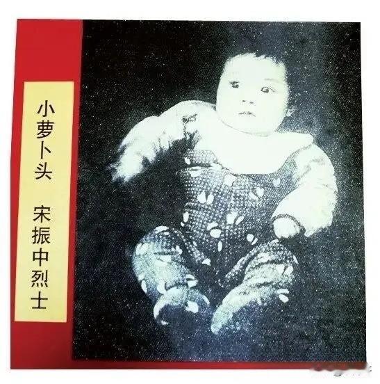 他是我国最小的烈士，原名宋振中，八个月便随母亲身陷重庆白公馆。常年牢狱生活让他营