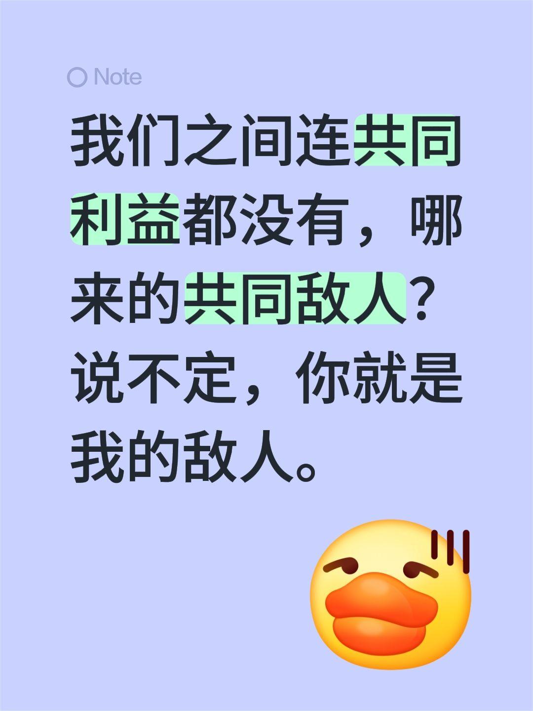 我们之间连共同利益都没有，哪来的共同敌人？说不定，你就是我的敌人。
