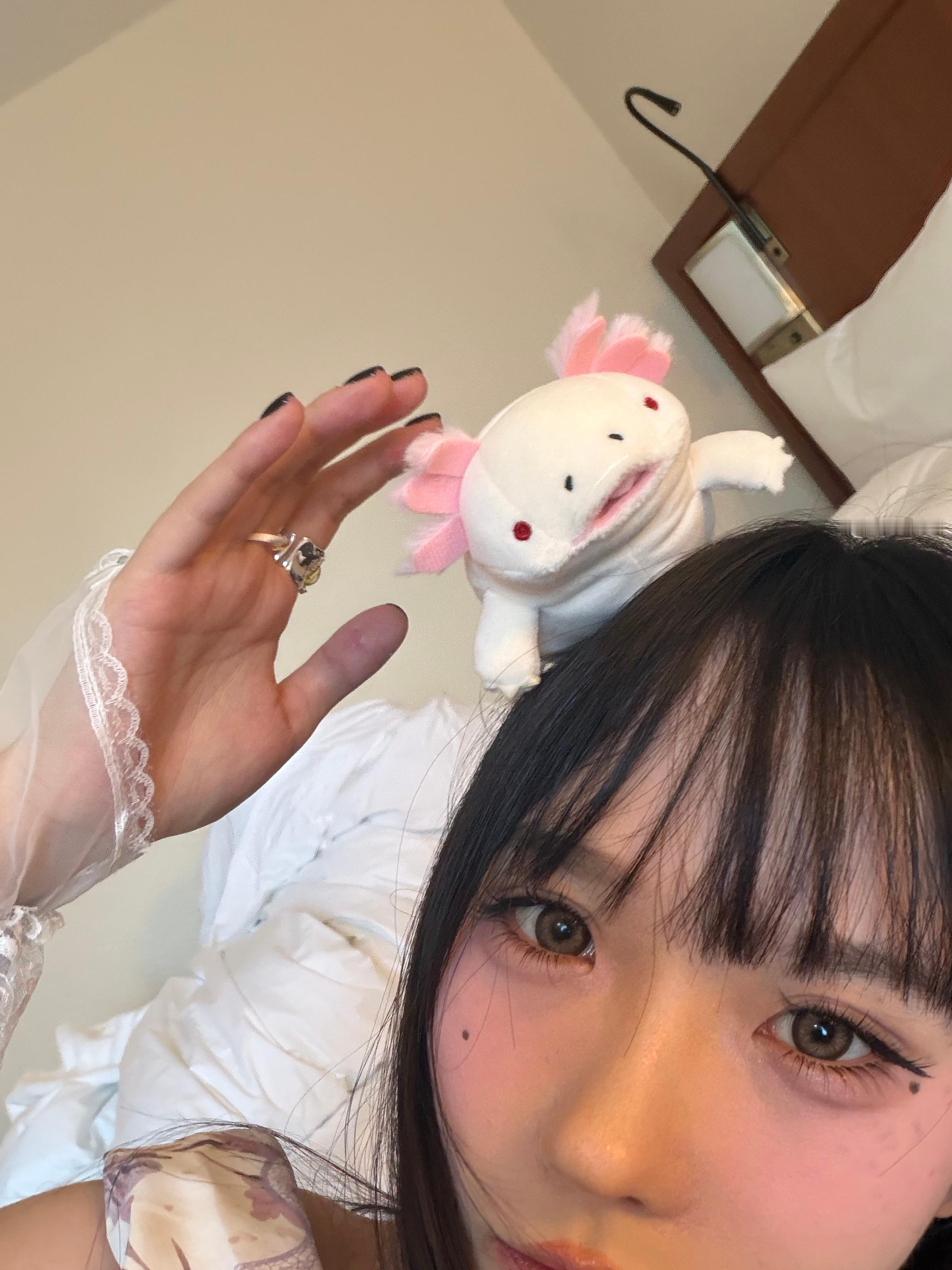 一觉睡醒玉桂狗变了样子。 