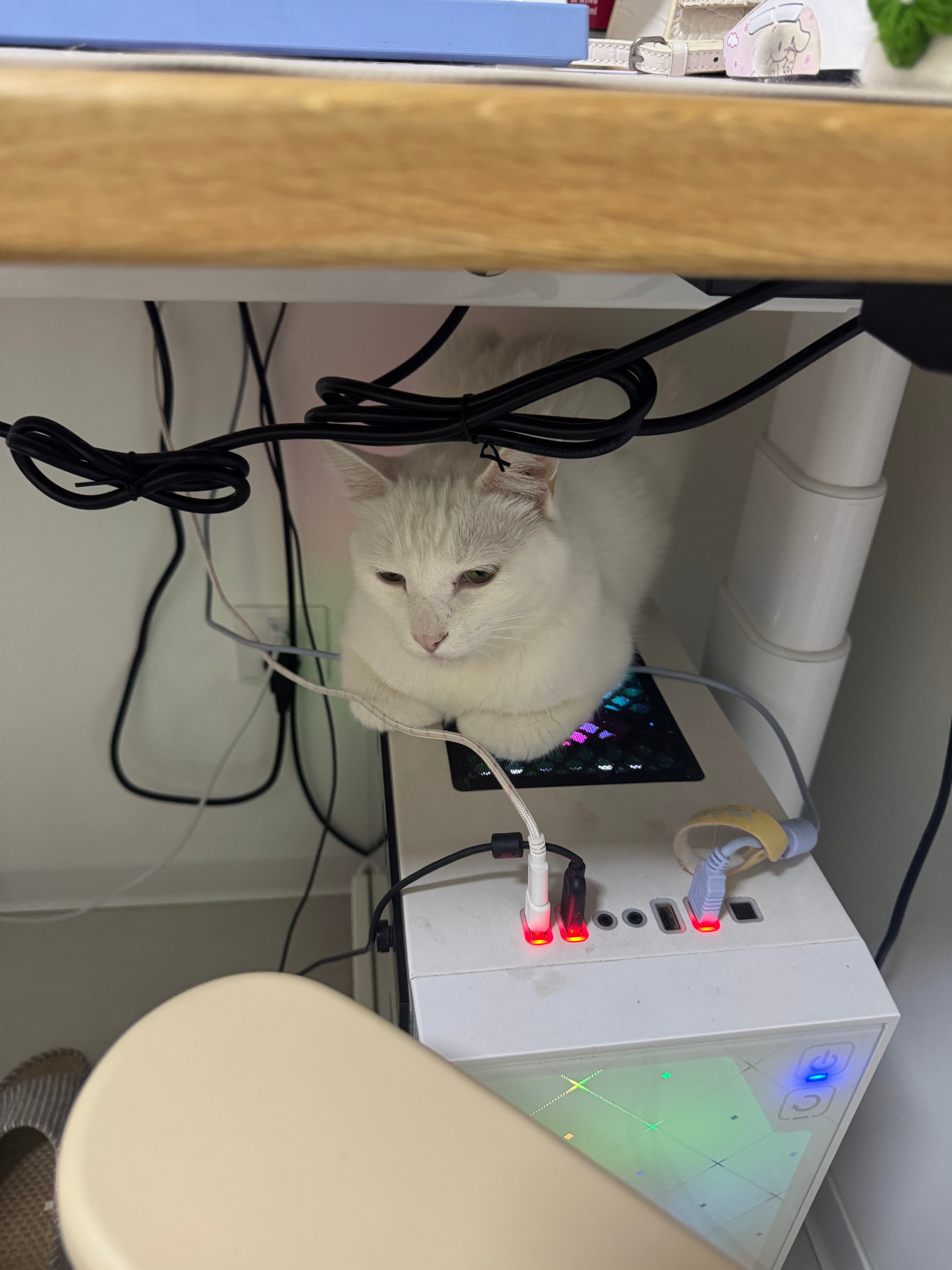 分享图片 ​​​