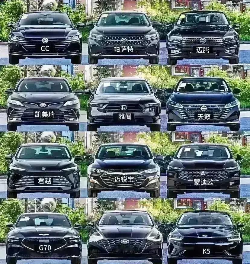 只看脸蛋，你更喜欢哪一款呢？