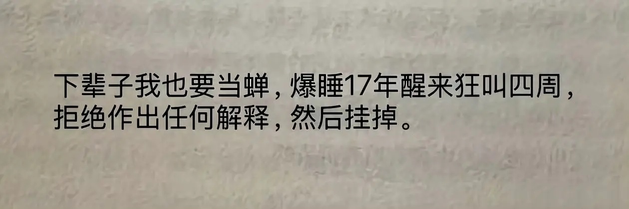 蝉的一生好摇滚呀 ​​​