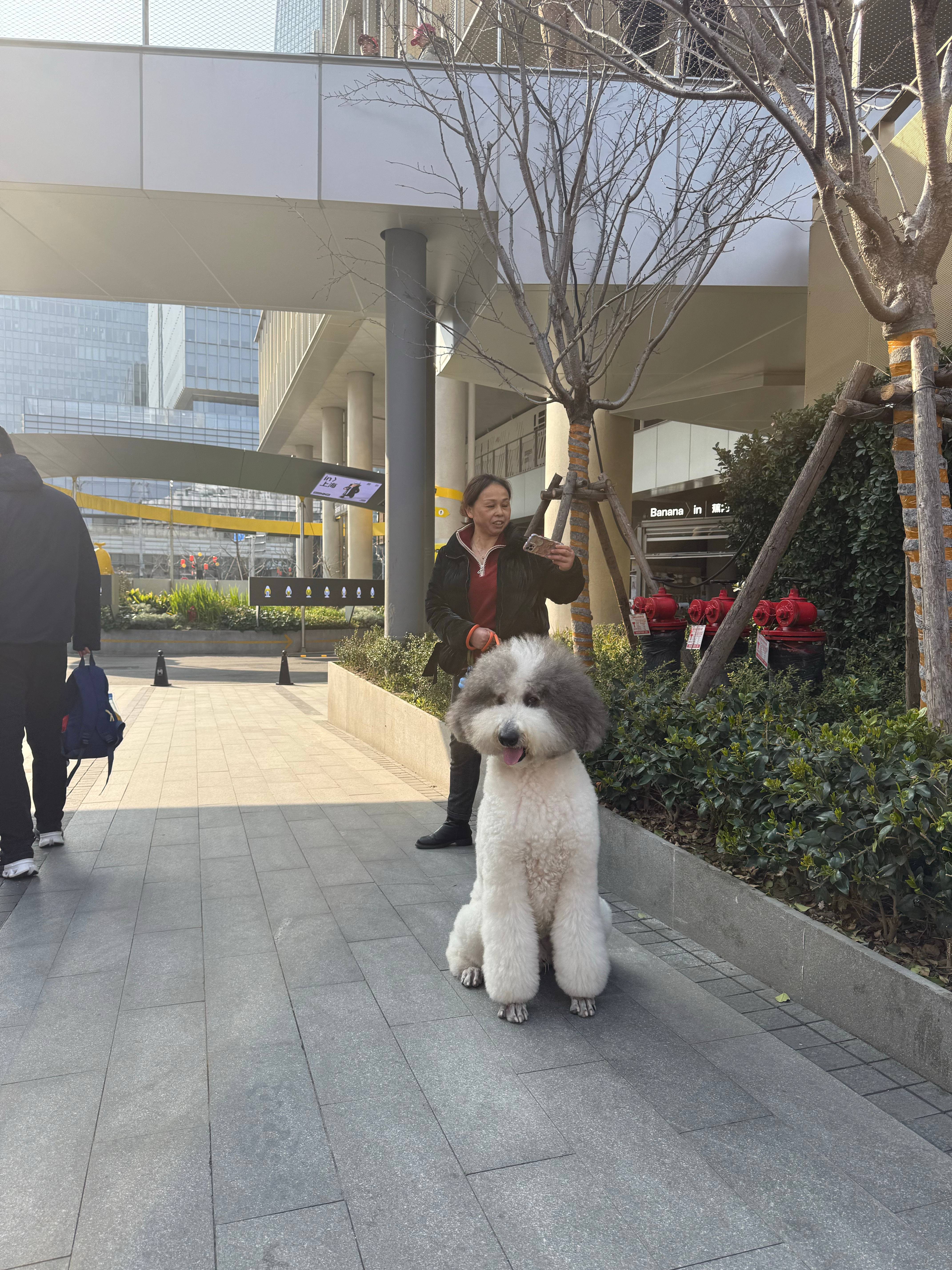 西岸全是f1元素 上海·Gate M西岸梦中心-北区