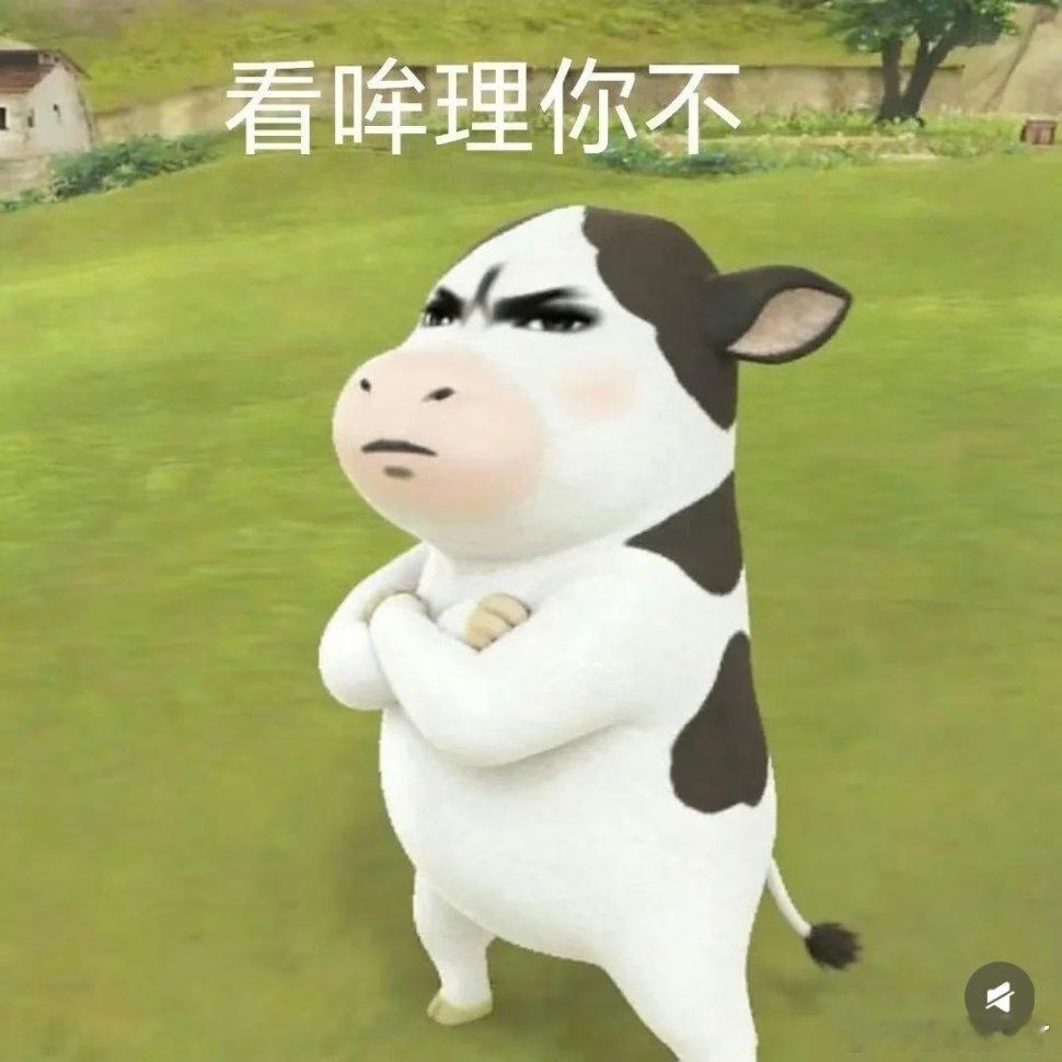 搞笑表情包动漫点评团次元新星计划