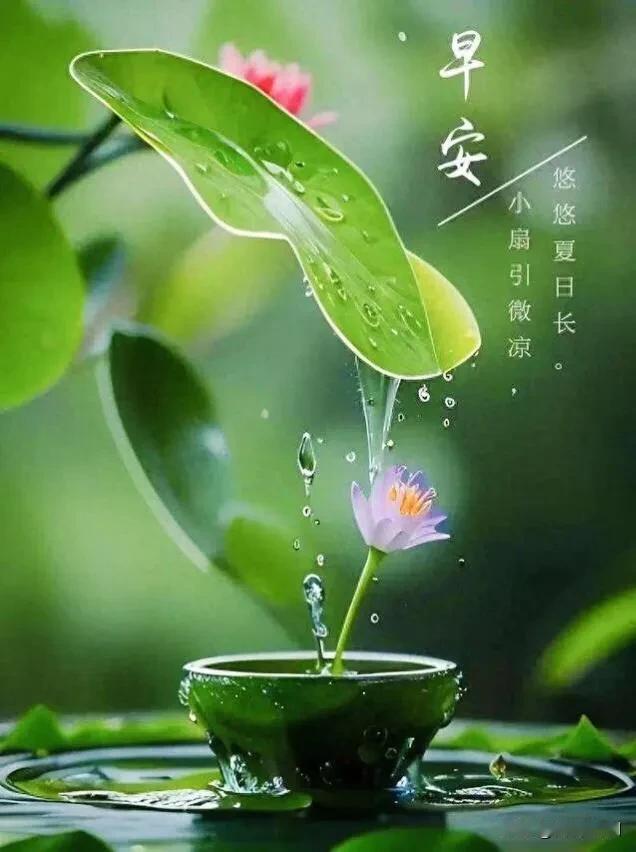 心怀暖意，稳步前行，愿今天收获满满的小幸运。