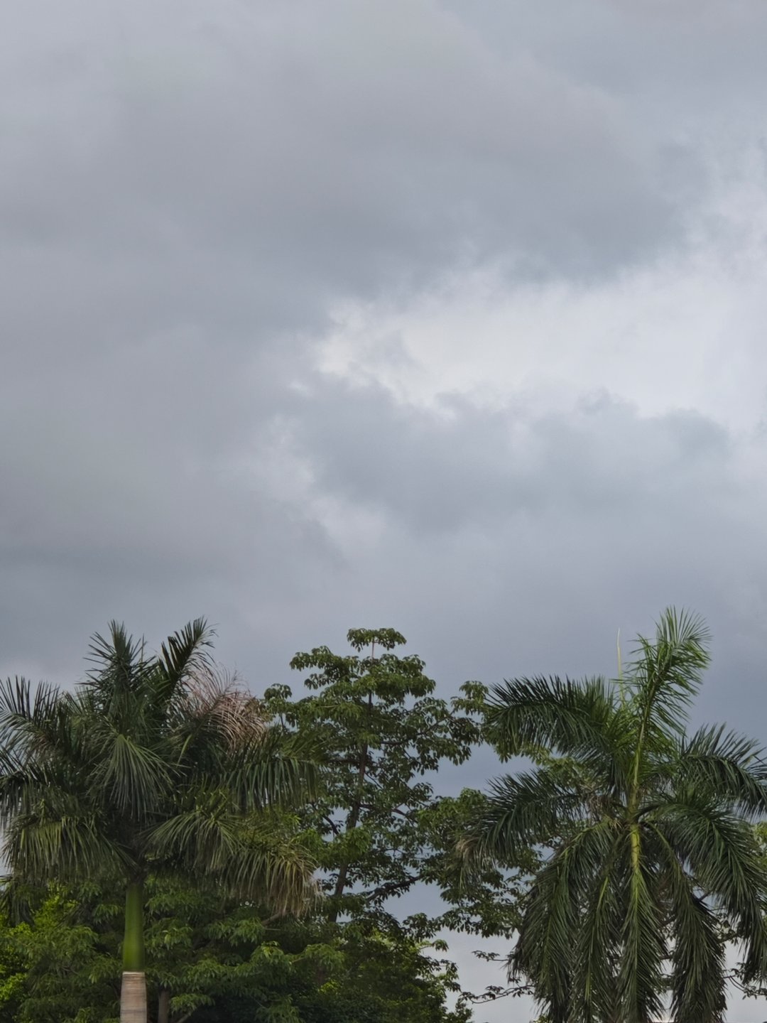 终于要下雨了 需要极速降温