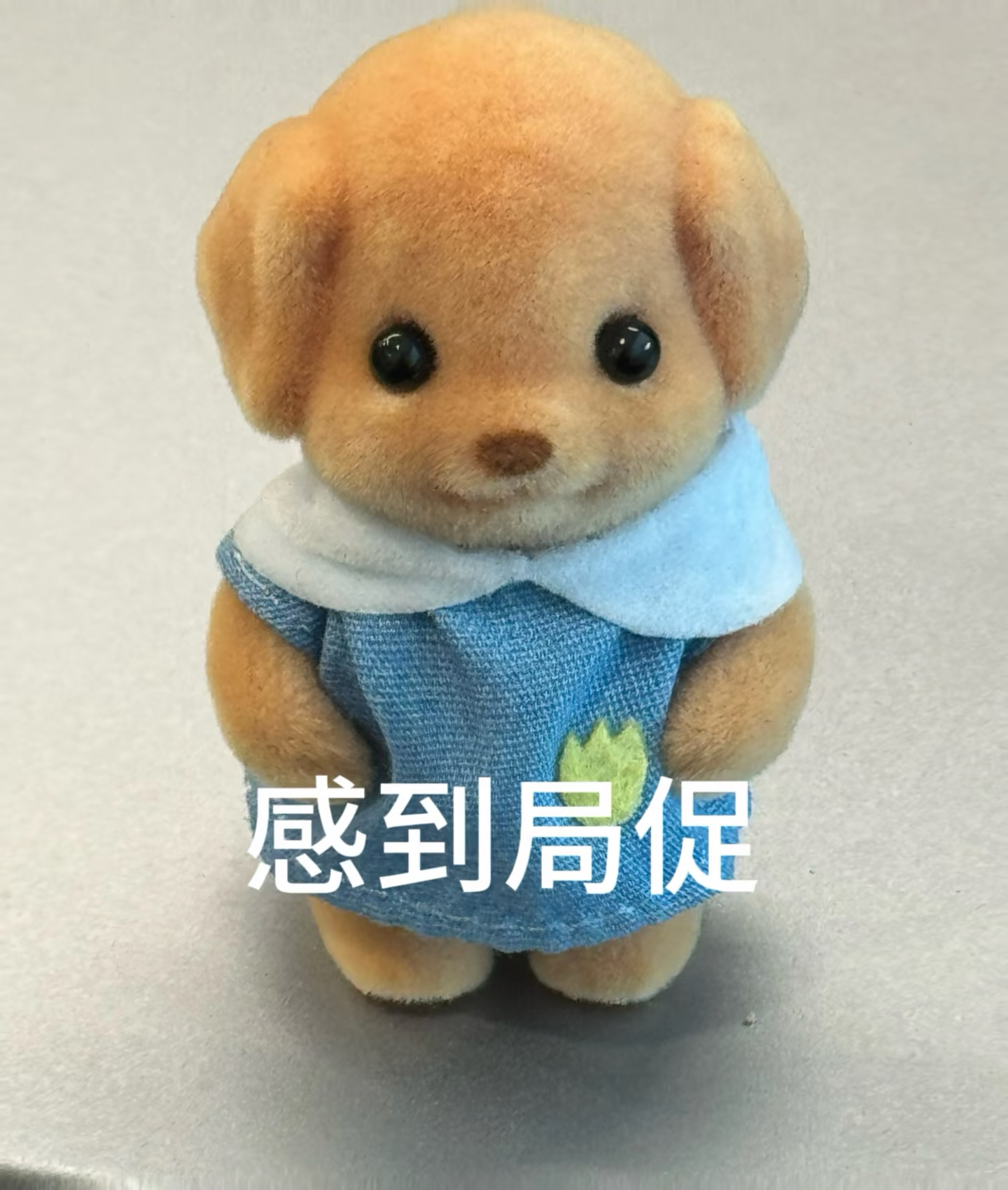 群像式友谊 假性亲密其实是一堆人玩的都很好，但如果是和其中某个人单独相处或者私聊