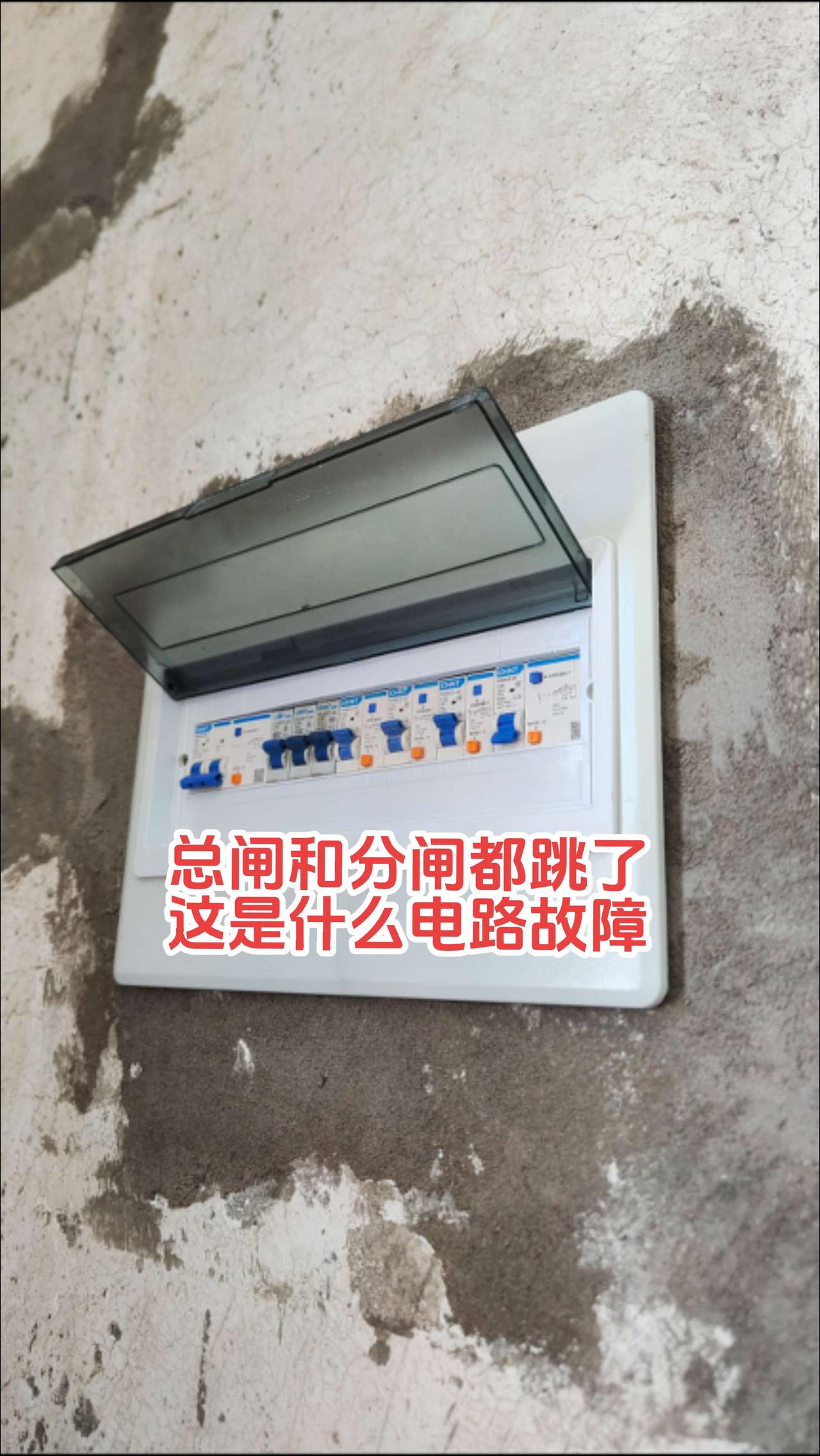 请问大家，家里强电箱总闸漏电保护器和分闸厨房漏电保护器都跳闸了，总闸复位键没有弹