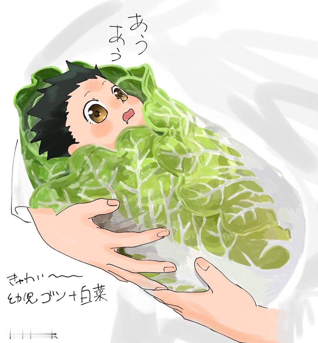 全职猎人  白菜小杰宝宝 x：umekyu_ri_2  