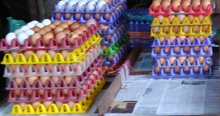 鸡蛋|缅甸国内鸡肉、鸡蛋价格高居不下，商贩：一天卖不出10只