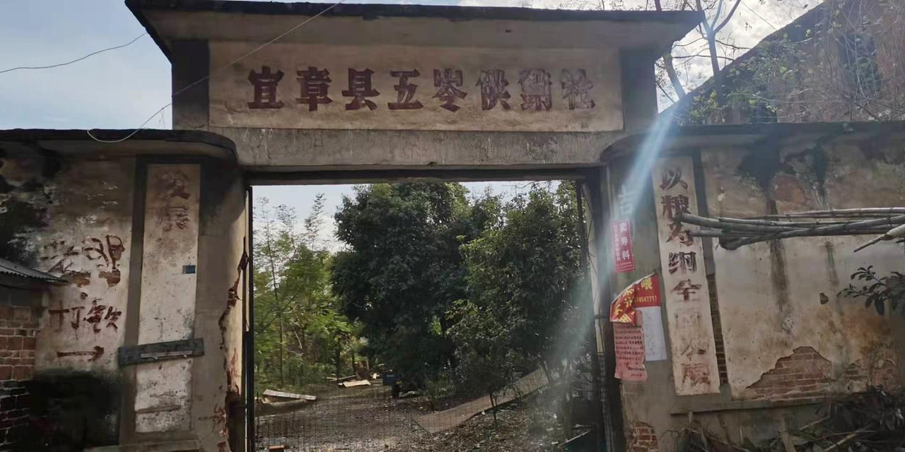 这是我小时候生活过的供销社大院，如今人去楼空，杂草丛生，破败不堪，令人唏嘘不已。