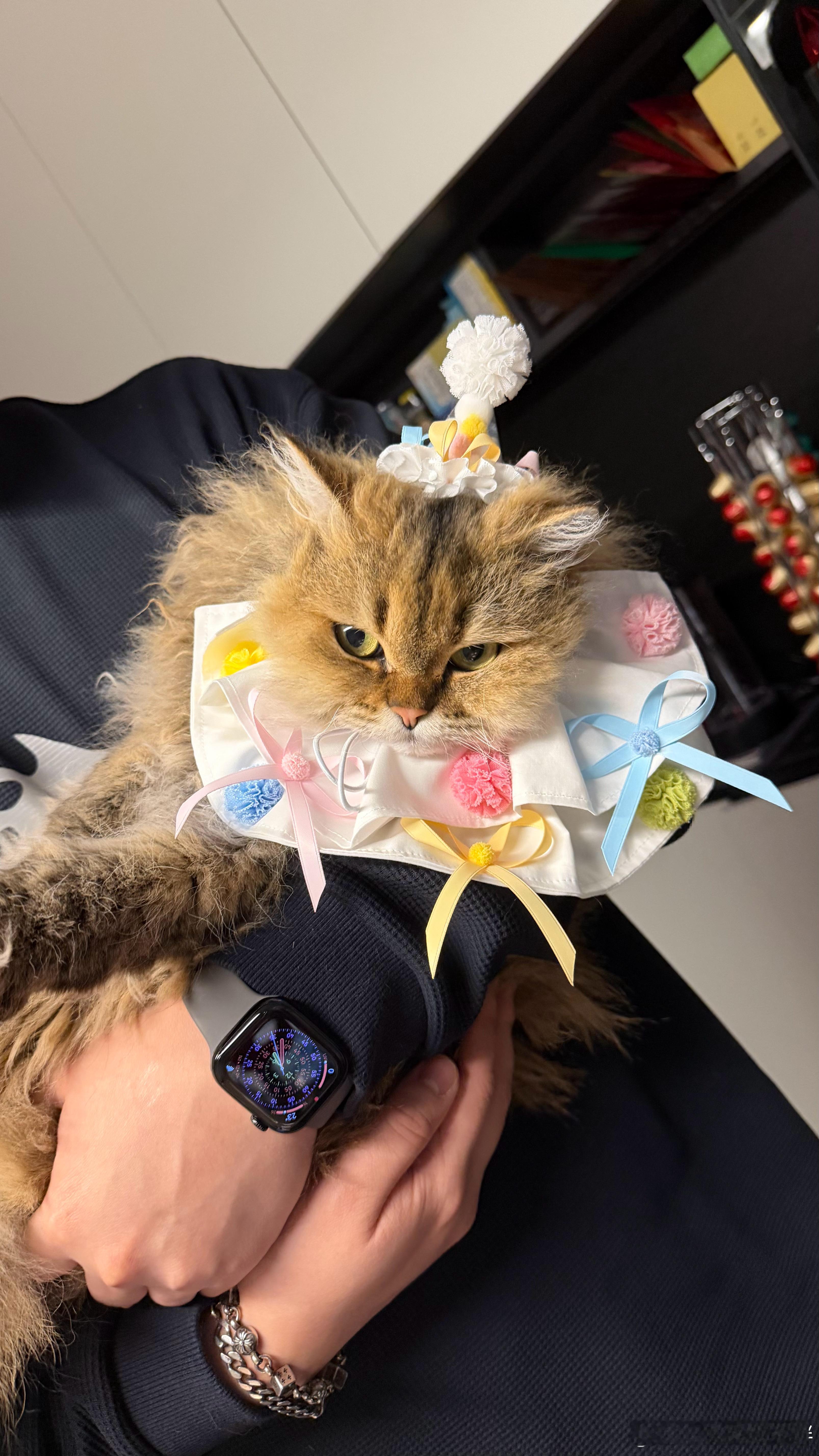 都是两岁的宝宝了