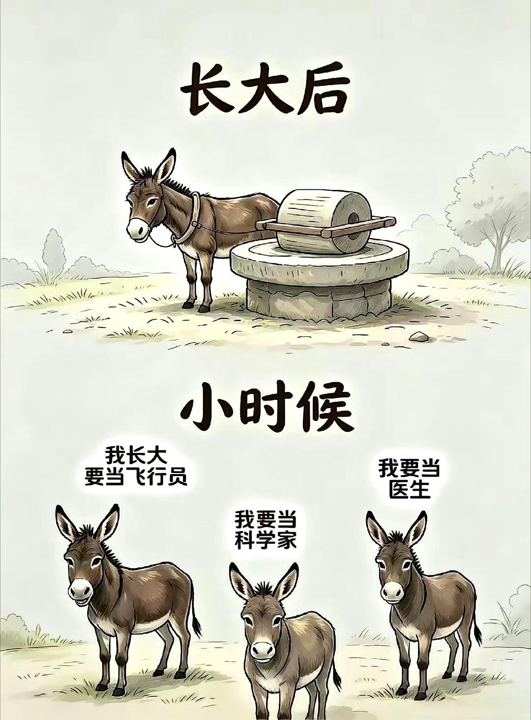 驴：我要按揭贷款买个磨。 ​​​
