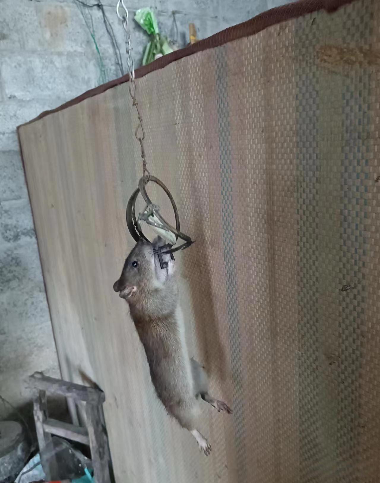 这活命的感觉真的太奇妙了