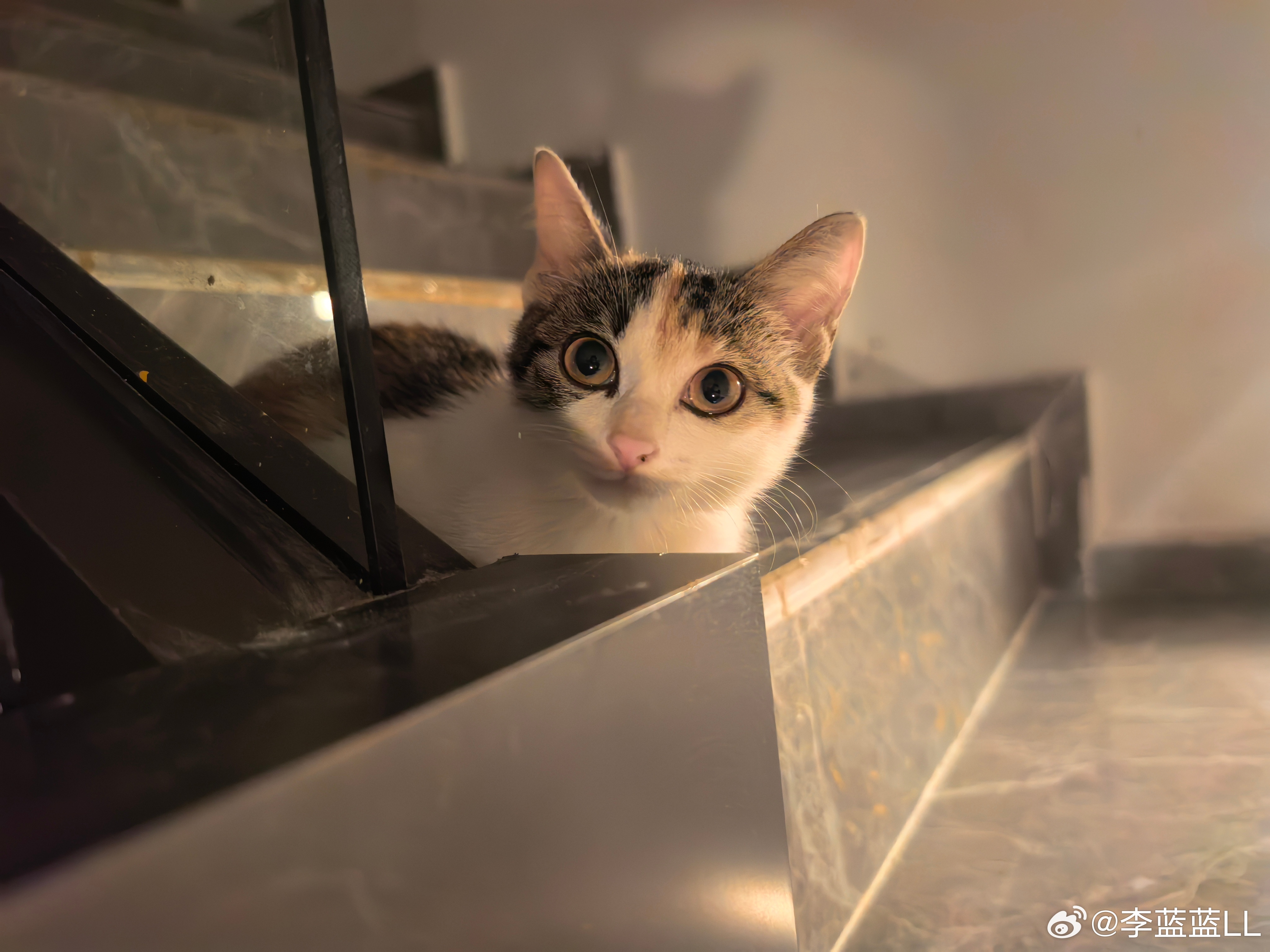 2月销量前三甲已经全部出来了。一、上汽集团，26.9万辆。二、吉利汽车，20.6